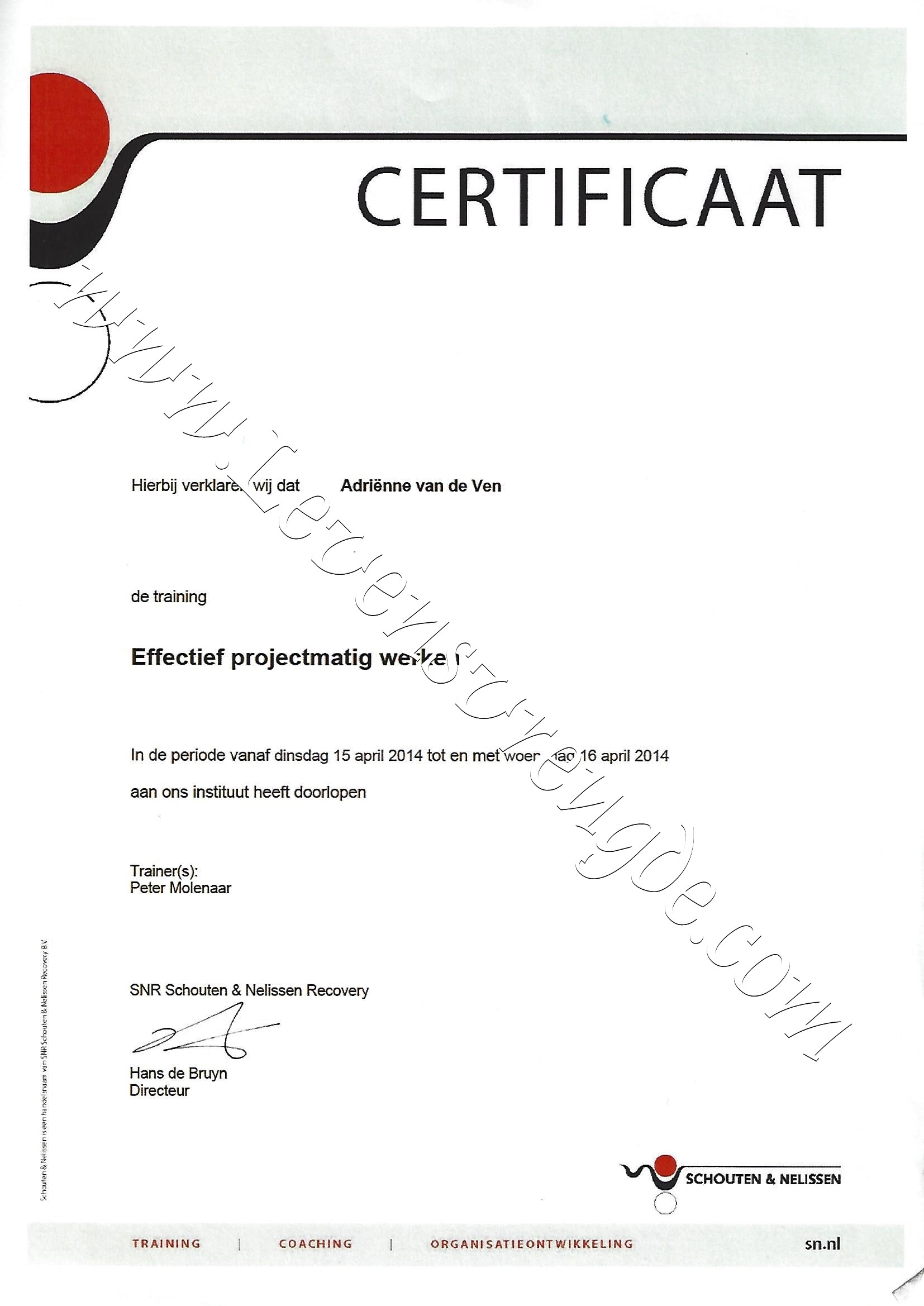 Effectief projectmatig werken